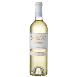Chateau Bouscaut - Pessac-Leognan Grand Cru Classe | white wine