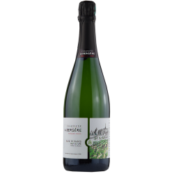 Champagne A.bergere Terres Blanches Brut Nature | Champagne