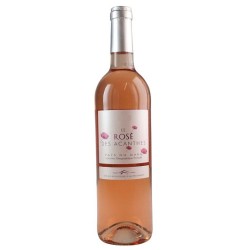 Les Vignerons De Tavel - Igp Gard Rose Le Rose Des Acanthes | rosé wine