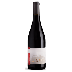 Domaine Cottebrune Pierre Gaillard - Faugeres Rouge Les Moulins | Red Wine