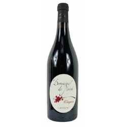 Domaine De Noire Chinon Elegance | Red Wine