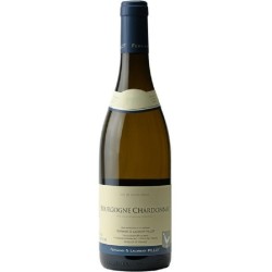 Domaine Pillot Bourgogne Blanc Chardonnay | white wine