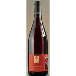 Domaine Pommier Bourgogne Grain De Survie Pinot Noir | Red Wine