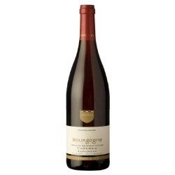 Les Vignerons De Buxy - Bourgogne Pinot Noir Buissonnier | Red Wine