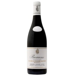Domaine Guyon Beaune Clos De La Chaume Gaufriot Monopole | Red Wine
