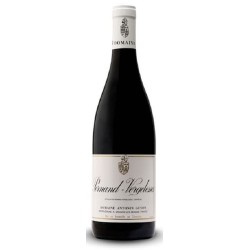 Domaine Guyon Pernand-Vergelesses Les Fichots | Red Wine