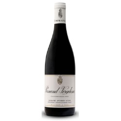 Domaine Guyon Pernand-Vergelesses Les Fichots | French Wine