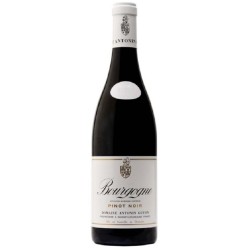 Domaine Guyon Bourgogne Pinot Noir | Red Wine