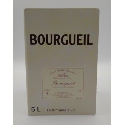 Domaine Lame Delisle Boucard Saint-Nicolas De Bourgeuil Rouge Bib 5 Litres | Red Wine