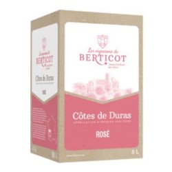 Les Vignerons De Berticot Cotes De Duras - Bib 5 Litres | rosé wine