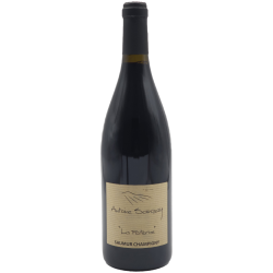 Domaine Antoine Sanzay Saumur-Champigny La Paterne - Vin Bio | Red Wine