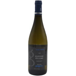 Domaine Gueguen Bourgogne Côtes Salines | white wine
