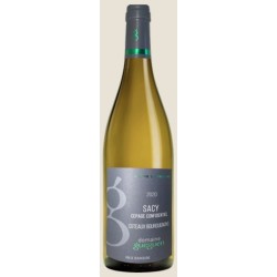 Domaine Gueguen Coteaux Bourguignons Sacy | white wine