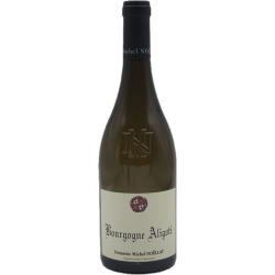 Domaine Michel Noellat Bourgogne Aligoté | white wine