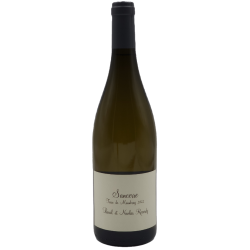 Domaine Pascal Et Nicolas Reverdy - Sancerre Blanc Terre De Maimbray | white wine