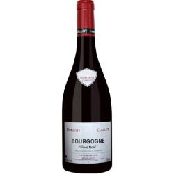 Domaine Coillot - Bourgogne Pinot Noir | Red Wine