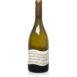 Domaine Albert De Conti Conti-Ne Périgourdine - Vin Bio | French Wh...