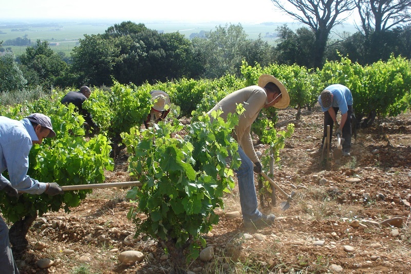 Domaine Alain Jaume