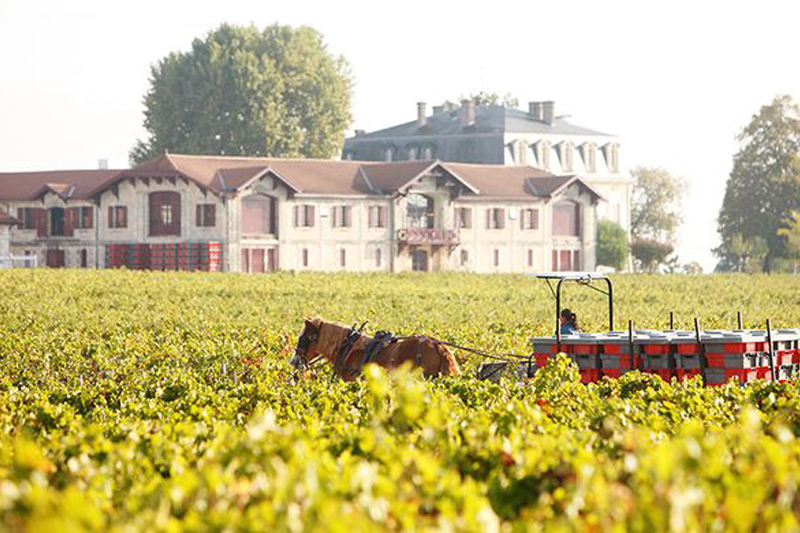 Château Pontet-Canet