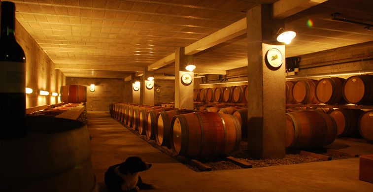 Domaine Sol Payré